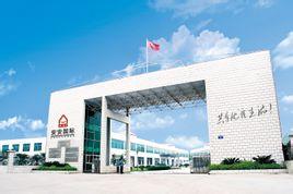 安安国际集团