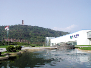 重庆药友制药有限责任公司