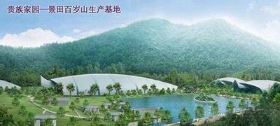 景田百岁山食品饮料（广州）有限公司